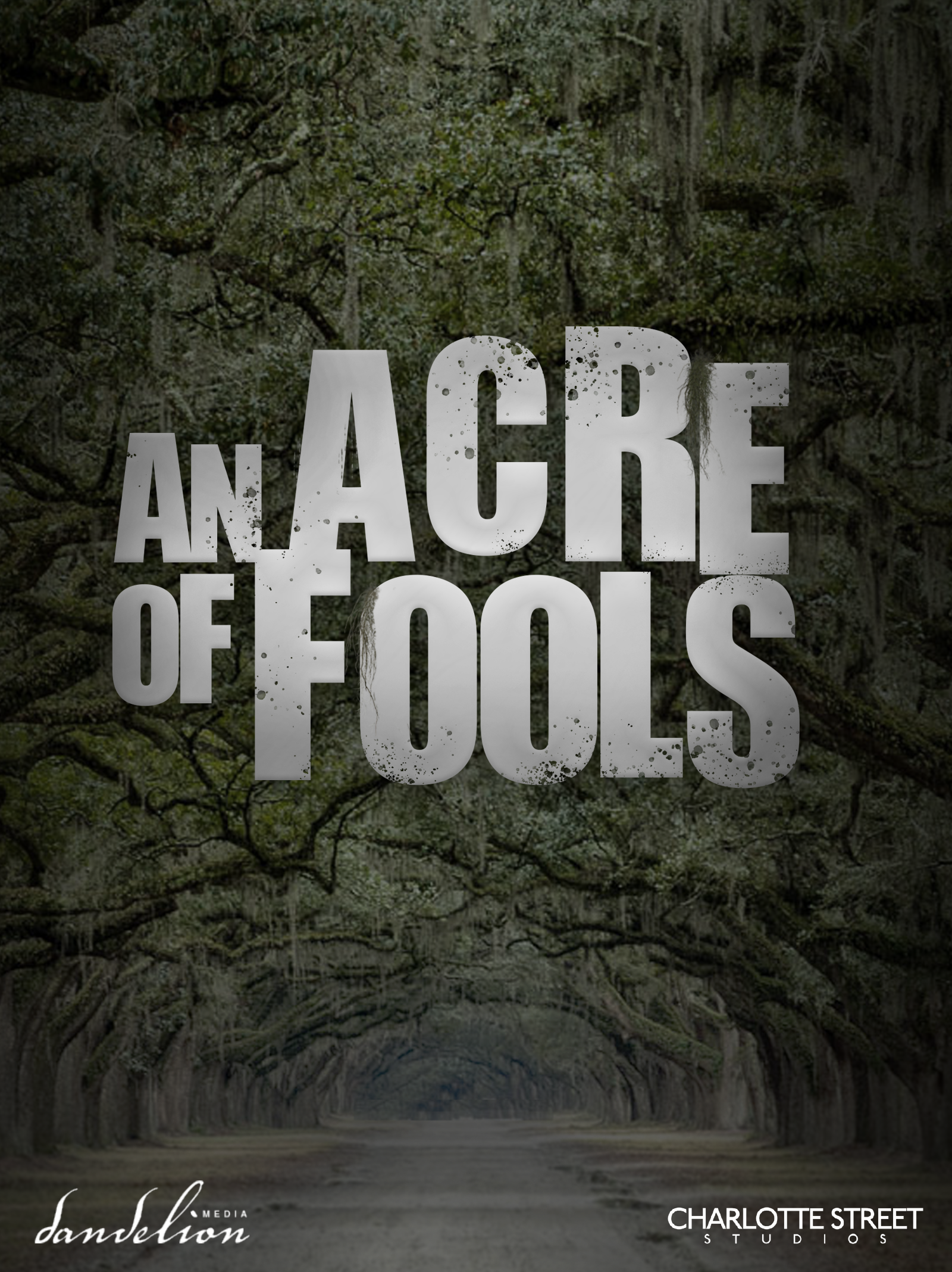 an acre of fools promotional poster